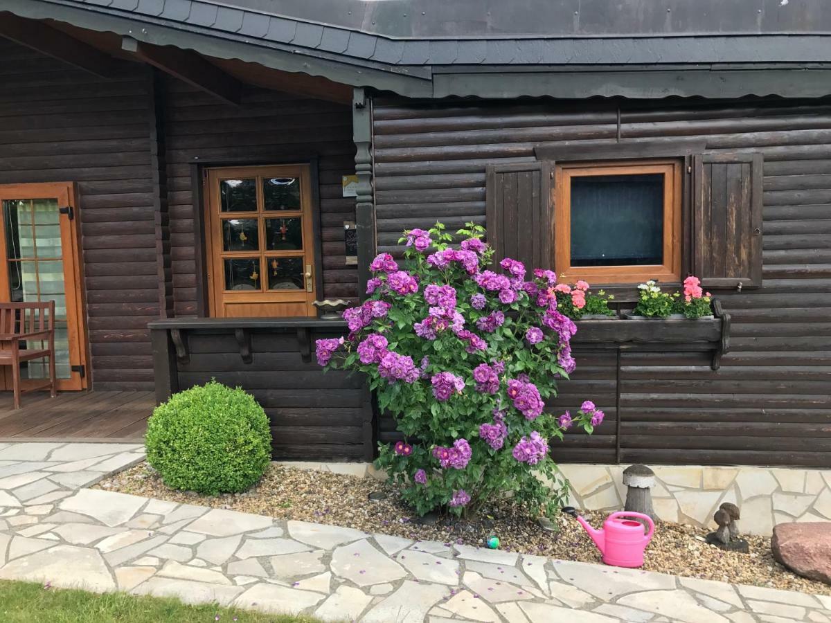 Holzhaus Harz Villa Schielo Ngoại thất bức ảnh